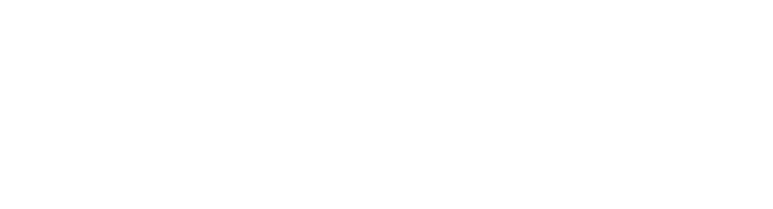Expert17 website